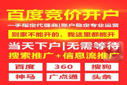 某电商平台的SEM优化托管实践与效果评估